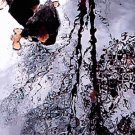 Tree Reflection***inspirational