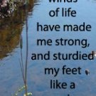 Winds of Life***Inspirational