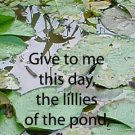 Water Lillies***Inspirational