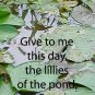 Water Lillies***Inspirational