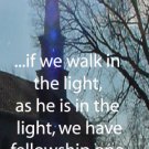 Church Steeple***Biblical/ 1 John 1:7