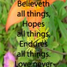 Flowers of the Field***Biblical/Corinthians 13: 4-6