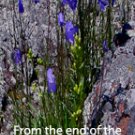 Horseshoe Flowers and Rocks***Biblical/Psalm 61:2