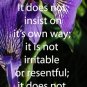 Purple Irises***Biblical/1 Corinth. 13:4-6