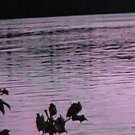 Fannyhow Sunset***Biblical/Psalm 25:1