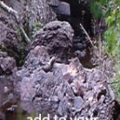 Maganese Bridge***Biblical/2 Peter 1:5