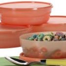 Tangerine Microwave Cereal Bowls Set of 4