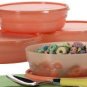 Tangerine Microwave Cereal Bowls Set of 4