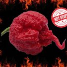 25 Seeds Carolina Reaper Peppers Hot Pepper Vegetable Planting Garden Easy and Fast to Grow