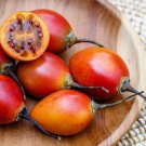 10 Tamarillo Tree Tomato Cyphomandra Betacea Solanum Fruit Tree Seeds Easy and Fast to Grow