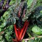 300 Rhubarb Red Swiss Chard Perpetual Spinach Beta Vulgaris Vegetable Seeds Easy and Fast to Grow