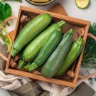 30 Gray Zucchini Heirloom Summer Bush Squash Cucurbita Pepo Vegetable Seeds Easy and Fast to Grow