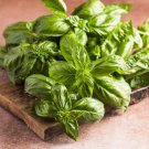 1500 Sweet Basil Ocimum Basilicum Herb White Flower Seeds