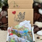 Small Personalized Deluxe Magical Fairy Gift, Forest Tooth Fairy Love Package