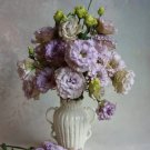 Lisianthus Live Plant, Healthy Starter, Mother Day Edition (Chateau Blue 1 Plant) USA Seller