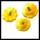 15 Yellow Bush Scallop Summer Squash Seeds Yellow Patty Pan Garden Fresh Ship From USA