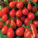 Red Pear Cherry Tomato Seeds 50 Seeds Garden Fresh Ship From USA