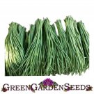 Dark Green Yard Long Bean Seeds 10 Seeds Seeds Garden Fresh Ship From USA Dark Green Yard Long Bean Seeds 10 Seeds Seeds Garden Fresh Ship From USA