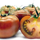 100 Black Prince Tomato Seeds Non-Gmo Heirloom Seeds Delicious Garden Fresh Ship From USA