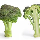 1000 Green Sprouting Calabrese Broccoli Non-Gmo Heirloom Broccoli Seeds Garden Fresh Ship From USA