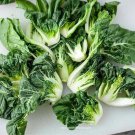 1,250Baby Bok Choy Seeds Dwarf Pak Choi Asian Vegetable Garden Fresh Ship From USA