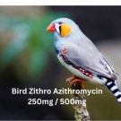 Bird Zithro  Bird Treatment 25-100 Capsules Blister Pack 250mg / 500mg Free Shippng