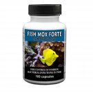 Fish Mox Forte 500mg Aquarium Treatment -  Free Shippng with tracking 100-200 Capsules