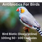 Bird Biotic 100mg  Birds Treatment Tracking Available 50-100 Capsules Free Shipping