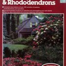 All About Azaleas, Camellias, & Rhododendrons