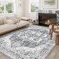 5x7 Area Rugs - Machine Washable Area Rugs 5x7 for Living Room, Soft Washable Rugs 5x7, Non-Sli