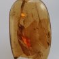 Burmite Amber With 2 Insects