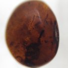 Burmite Amber With Inclusion