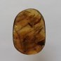 Burmite Amber With Fly & Other Insect