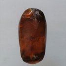 Burmite Amber