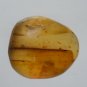 Burmite Amber With 2 Insects