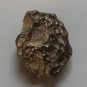 Tektite - From Meteorite Impact