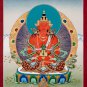 Elixir of Life Amitayus Thangka- Celestial Symbol of Infinite Longevity Art-B04813