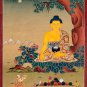 Hand-Made Shakyamuni Thangka &acirc;�� Tibetan Buddha of Enlightenment & Courage Art-B06919