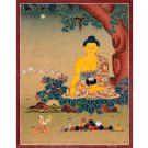 Hand-Made Shakyamuni Thangka – Tibetan Buddha of Enlightenment & Courage Art-B06919 Hand-Made Shakyamuni Thangka – Tibetan Buddha of Enlightenment & Courage Art-B06919