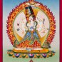 Thangka of Compassion: Dukar, Umbrella Goddess, Emblem of Universal Refuge-B05059