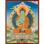 Amoghasiddhi Buddha Thangka – Tibetan Buddha of Unwavering Success & Protection-A82948
