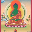 Amoghasiddhi Buddha thangka painting : Unveiling the All-Accomplishing Wisdom-A98857