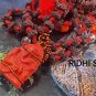 Wicca Talisman Effective NAGA Power Attraction Fortune Money Amulets Pendant +