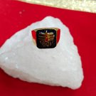 Enshrined Arca Of Brobdingnagian Regnant' Mahakal Ring CHANGE Your Life FOREVER