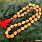 3 Mukhi Rudraksha Kuber Temple Bless LUCK Wealth Mala 36+1Beads Money Drawing A+