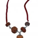 Rudraksha Combination For Laxmi Power 4,4,7,7,7 Mukhi Nepal