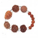 Rudraksh Rudraksha 2 3 4 5 6 7 Mukhi (Face) Beads Mala Wrist band bracelet -AA++