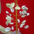 9999 SRI SHRI LAXMI LAKSHMI KAUDI(WHITE) FOR WEALTH AND PROSPERITY money attract