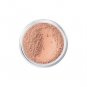Bare Minerals Escentuals TINTED HYDRATING Mineral Veil Powder HUGE .84oz 24g NeW