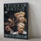 A FLOCK OF SEAGULLS THROUGH THE LOOKING GLASS DVD